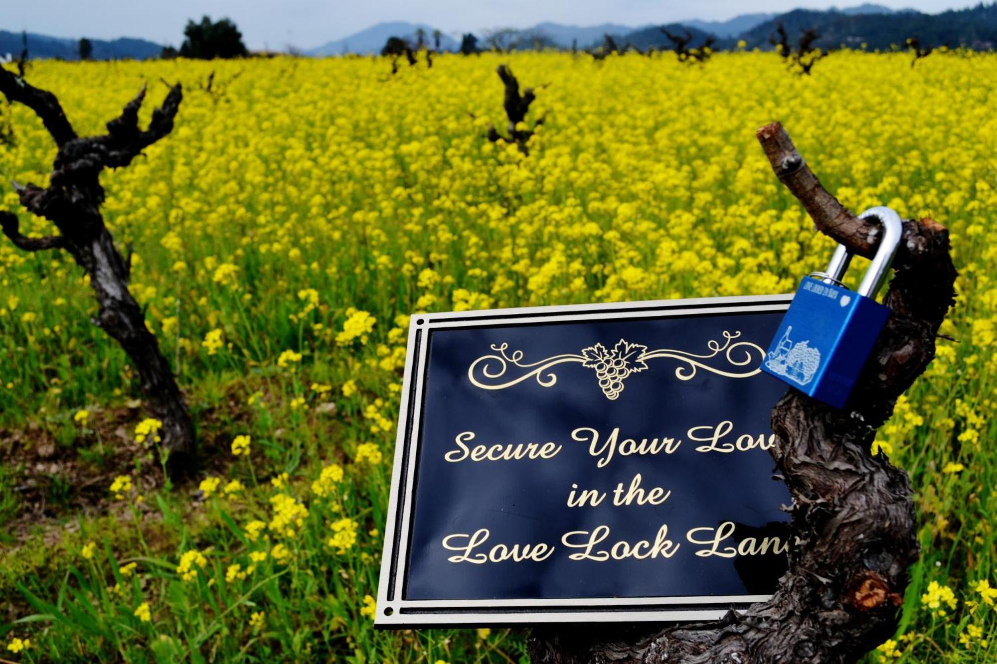 Chardonnay Lodge Napa Luaran gambar