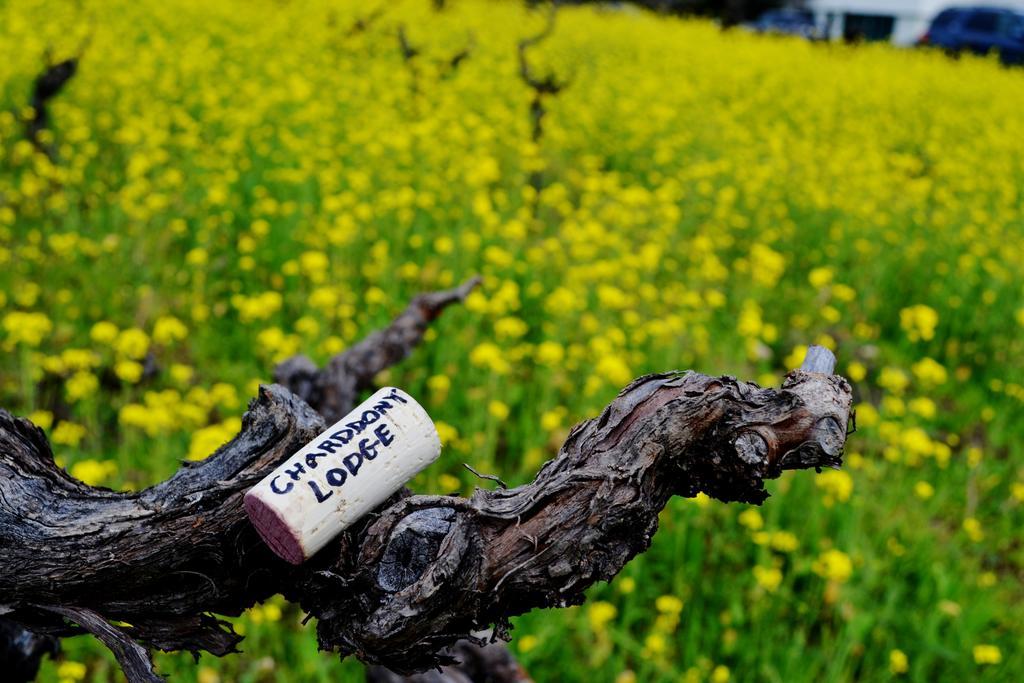 Chardonnay Lodge Napa Luaran gambar