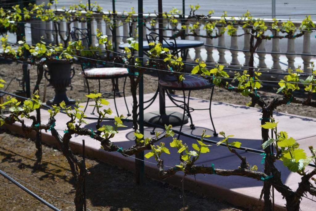 Chardonnay Lodge Napa Luaran gambar