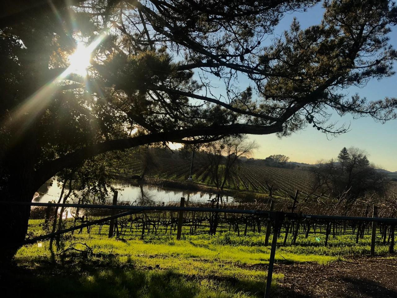 Chardonnay Lodge Napa Luaran gambar