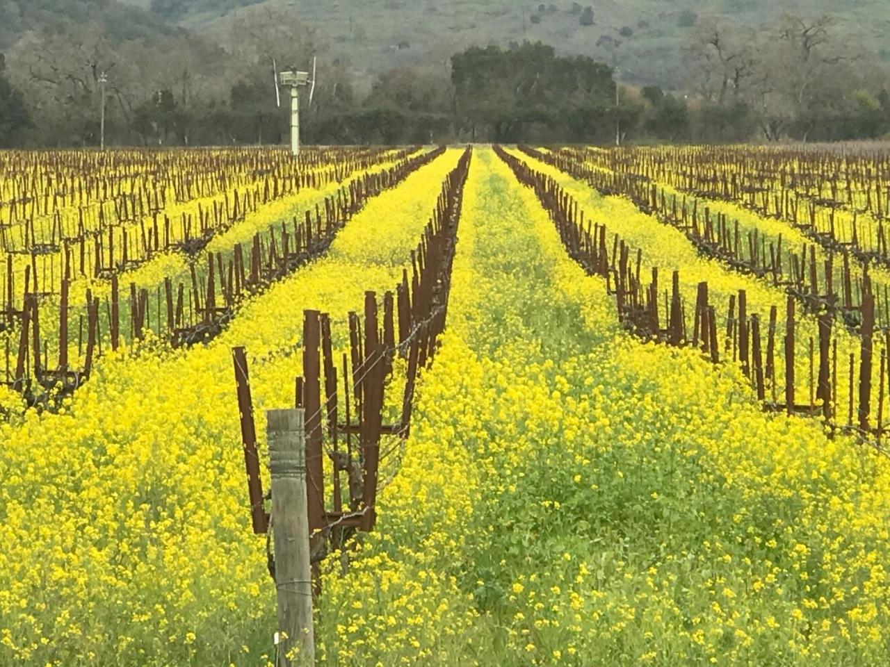 Chardonnay Lodge Napa Luaran gambar