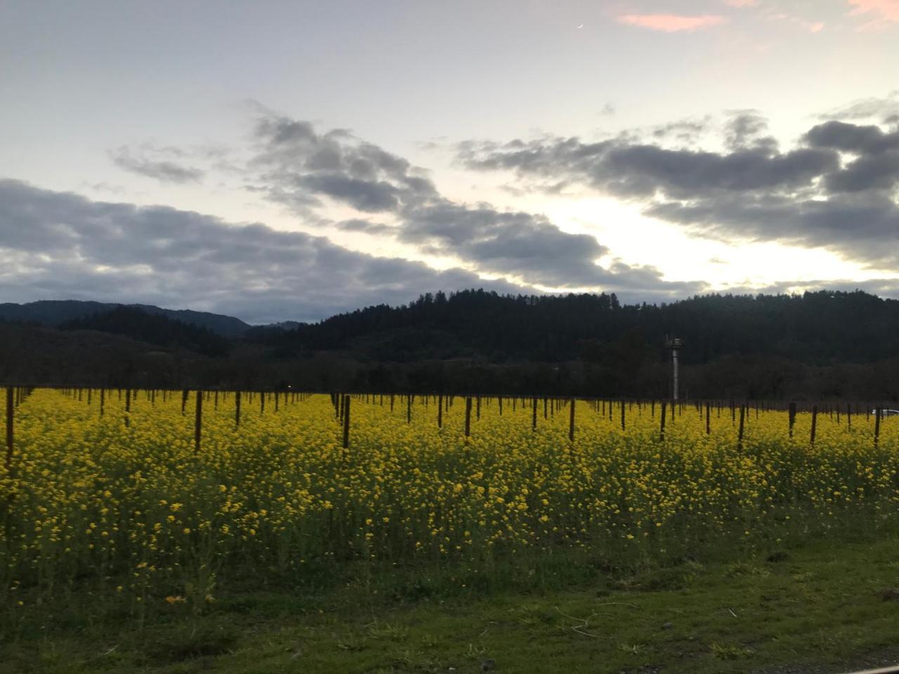 Chardonnay Lodge Napa Luaran gambar