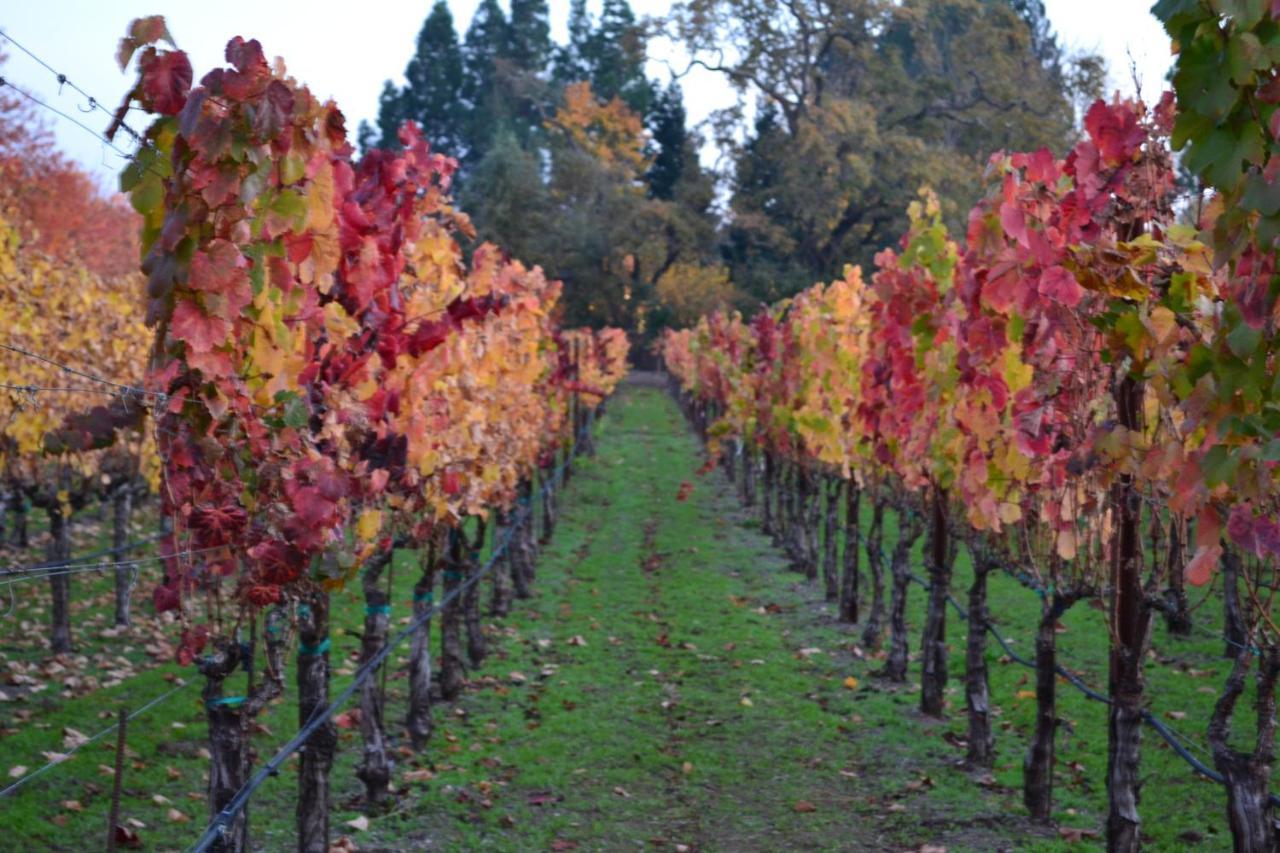 Chardonnay Lodge Napa Luaran gambar